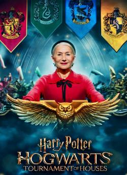 Harry Potter : Le Tournoi des quatre maisons - Saison 1 flemmix