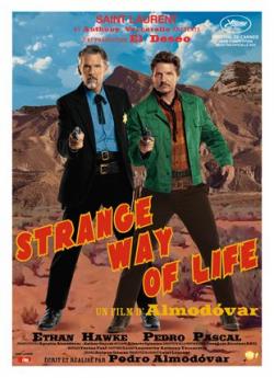 Strange Way of Life flemmix