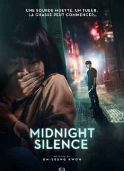 Midnight silence flemmix