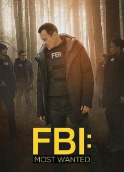 FBI : Most Wanted - Saison 3 flemmix