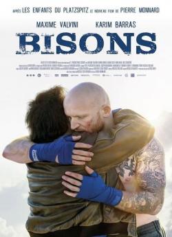 Bisons flemmix