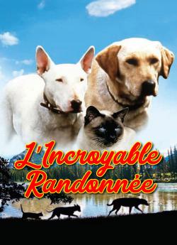 L'incroyable randonnée flemmix