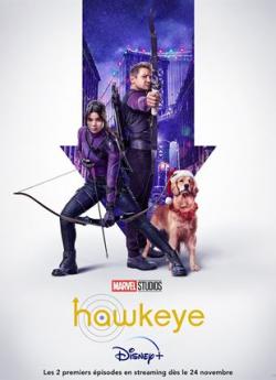 Hawkeye - Saison 1 flemmix