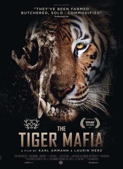 La mafia du tigre flemmix