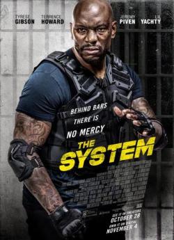 The System flemmix