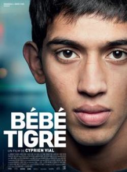 Bébé Tigre flemmix