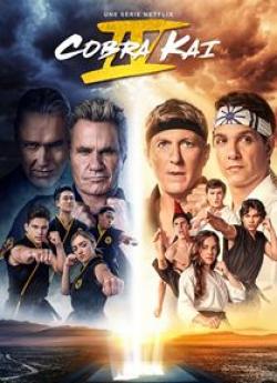 Cobra Kai - Saison 4 flemmix