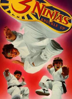 Ninja kids 3 Les 3 ninjas se révoltent flemmix