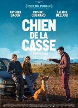 Chien de la Casse flemmix