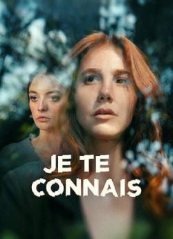 Je te Connais - Saison 1 flemmix