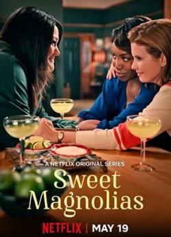 A l'ombre des magnolias - Saison 1 flemmix