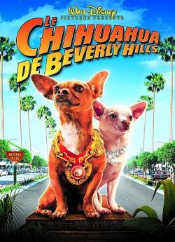 Le Chihuahua de Beverly Hills flemmix