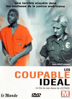 Un Coupable idéal flemmix