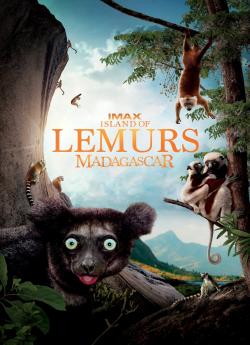 Madagascar, l'île des Lémuriens flemmix