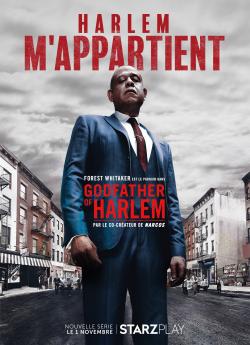 Godfather of Harlem - Saison 1 flemmix