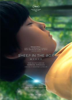 Sheep In The Box flemmix