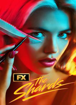 The Shards - Saison 1 flemmix