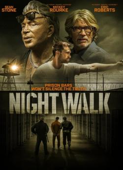 Night Walk flemmix