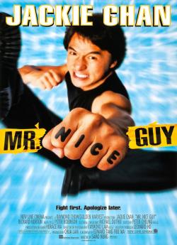 Mister Cool - Mr Nice guy flemmix