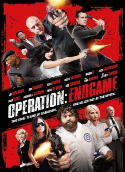 Operation : Endgame flemmix