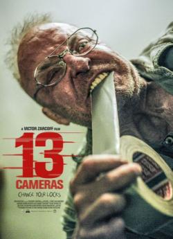 13 Cameras flemmix