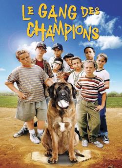 Le Gang des champions flemmix