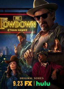The Lowdown - Saison 1 flemmix