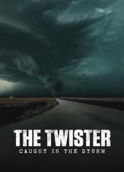 Twister : En pleine tornade flemmix