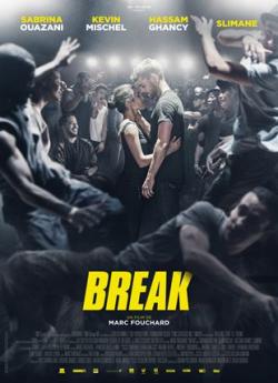 Break flemmix