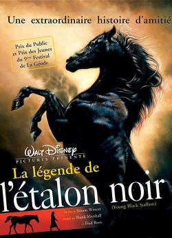 La Légende de l'étalon noir flemmix