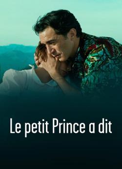 Le petit prince a dit flemmix
