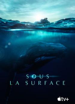 Sous la surface flemmix