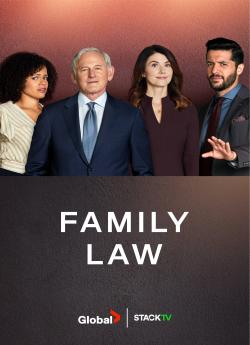 Family Law - Saison 1 flemmix