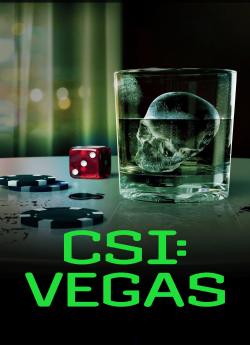 CSI: Vegas - Saison 3 flemmix