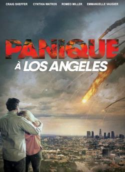 Panique à Los Angeles flemmix