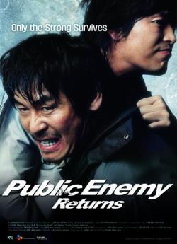 Public Enemy flemmix