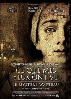Ce que mes yeux ont vu flemmix