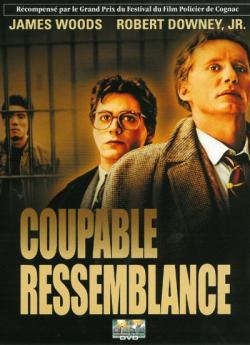 Coupable Ressemblance flemmix