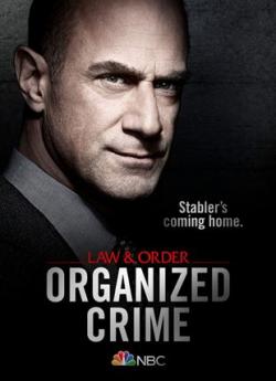 New York Crime Organisé - Saison 1 flemmix