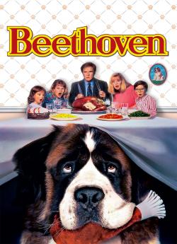 Beethoven flemmix