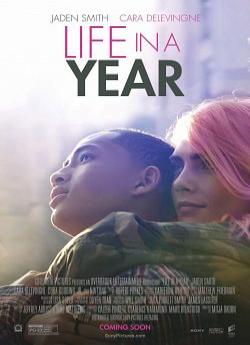 Life in a Year flemmix