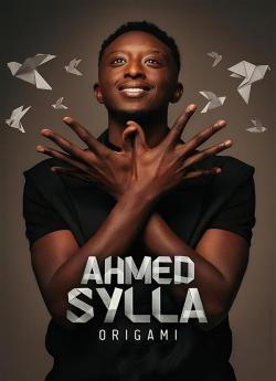 Ahmed Sylla : Origami flemmix