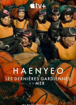 Haenyeo : les dernières gardiennes de la mer flemmix