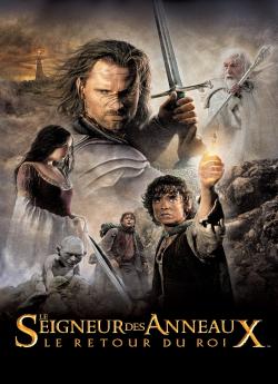 Le Seigneur des Anneaux  : le Retour du Roi flemmix