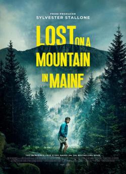 Lost On A Mountain In Maine flemmix