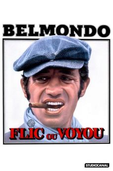 Flic ou voyou flemmix