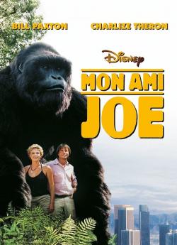 Mon ami Joe flemmix