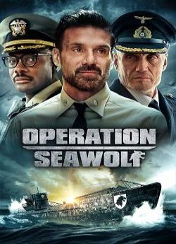 Operation Seawolf flemmix