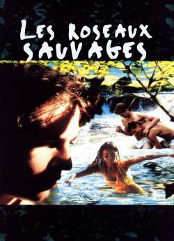 Les Roseaux sauvages flemmix