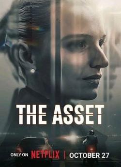 The Asset - Saison 1 flemmix